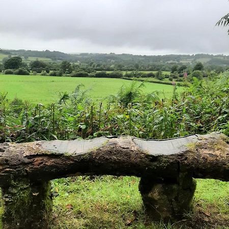 Y Smithy Appartement Llanybyther Buitenkant foto