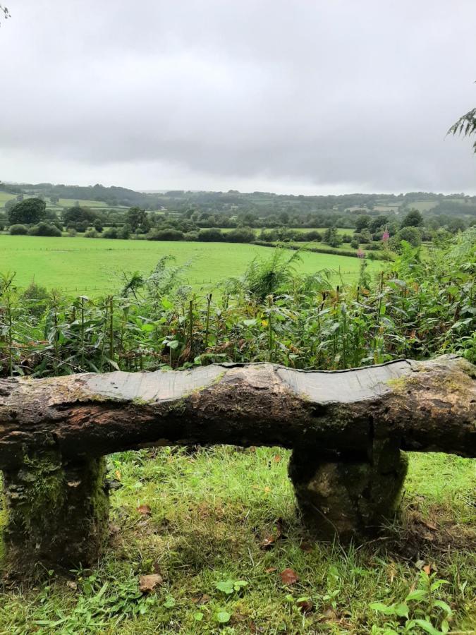 Y Smithy Appartement Llanybyther Buitenkant foto